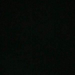 Meet your Posher, Peyton